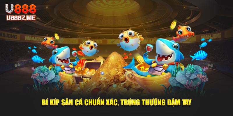 Bí kíp săn cá chuẩn xác, trúng thưởng đậm tay