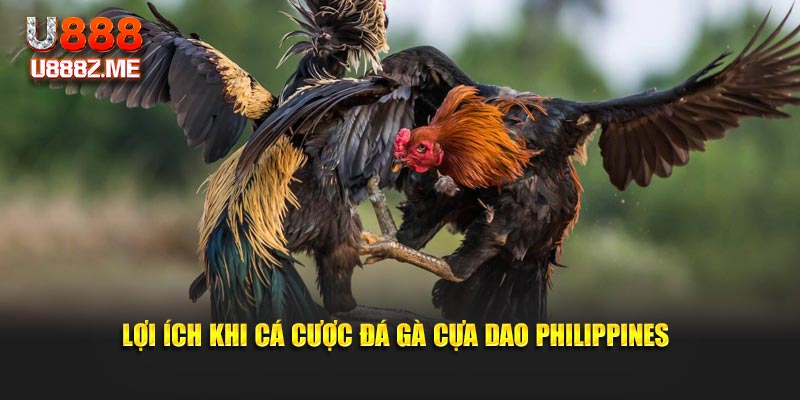 Lợi ích khi cá cược đá gà cựa dao Philippines