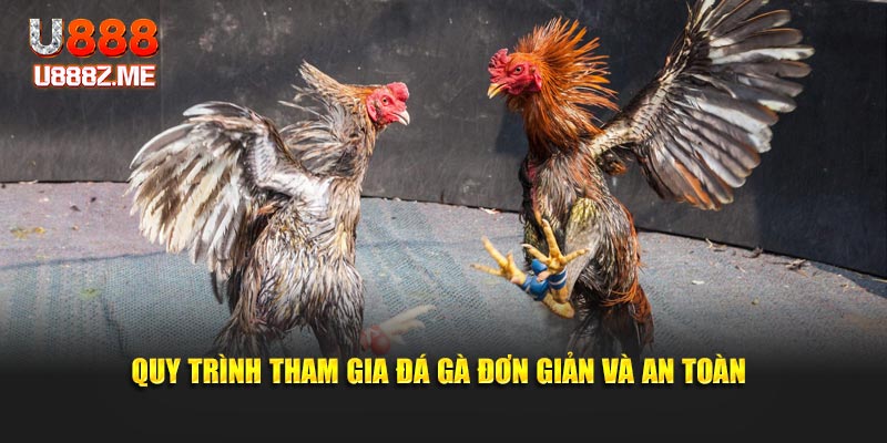 Quy trình tham gia đá gà đơn giản và an toàn