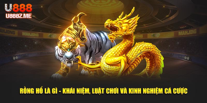 Rồng hổ là gì - Khái Niệm, Luật Chơi Và Kinh nghiệm cá cược
